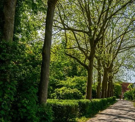 Natuurhuisjes Lust En Last Gerendaház