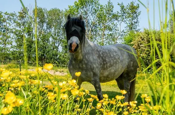 Natuurhuisjes Lust En Last