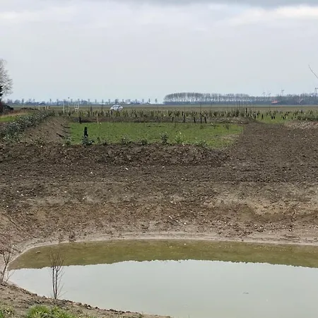 Natuurhuisjes Lust En Last *